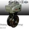 2PC Standard Stainless Steel Motorized Ball Valve with Female Thread